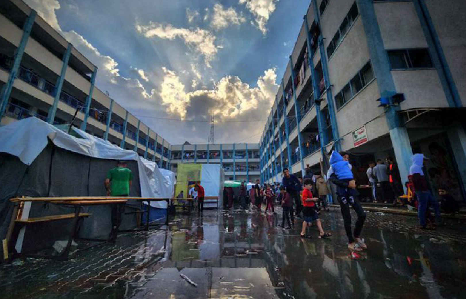 Gazze için barınak